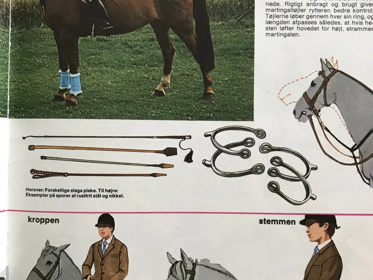 Billede 5 - Ridning og springning