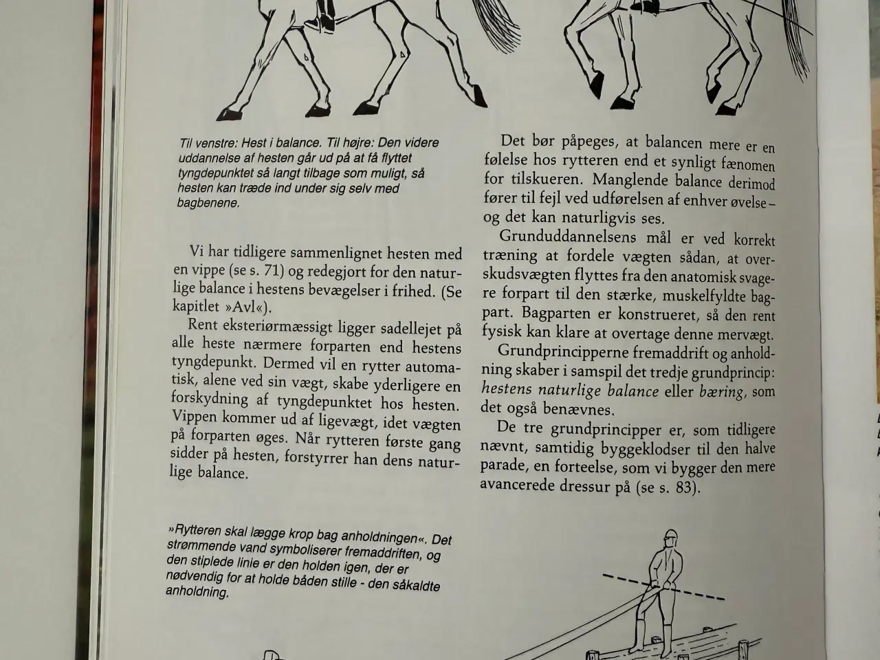 Billede 8 - Politikens Ridebog - ridehåndbog