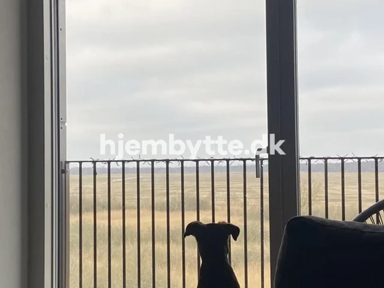 Billede 2 - Hjembytte - ElseAlfeltsVej