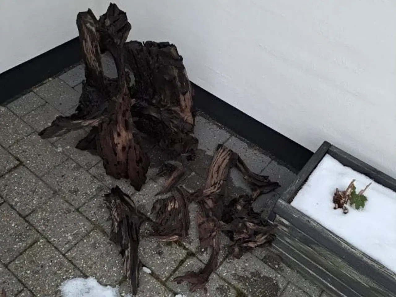 Billede 2 - Trærødder til dekoration