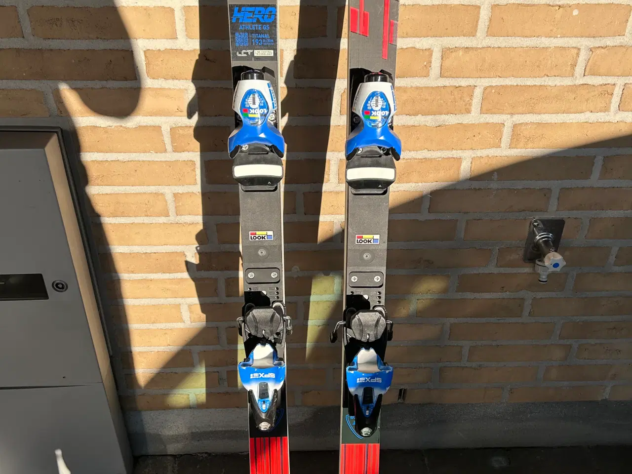 Billede 7 - Rossignol Hero Athlete FIS GS SKI