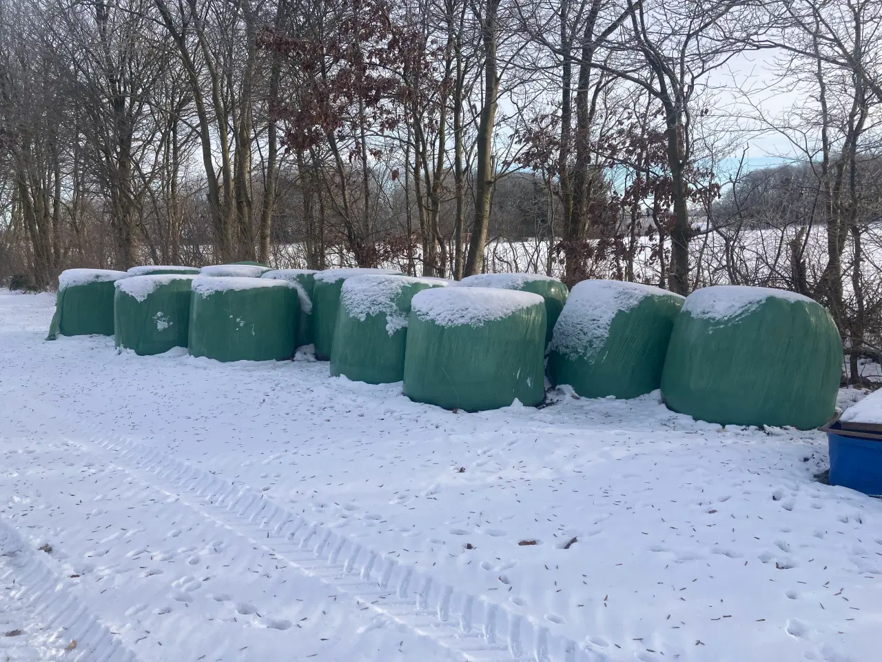 Billede 1 - Wrap til køer