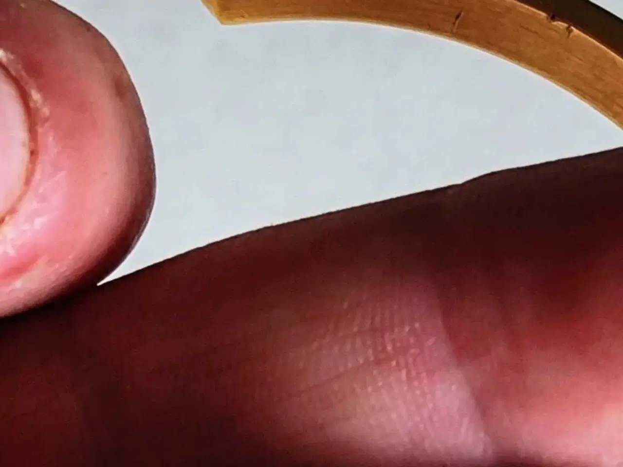 Billede 5 - Fortis - Ældre Dameur - Doublé