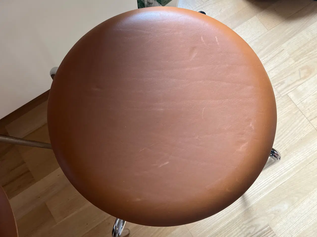 Billede 3 - Fritz Hansen skamler dot