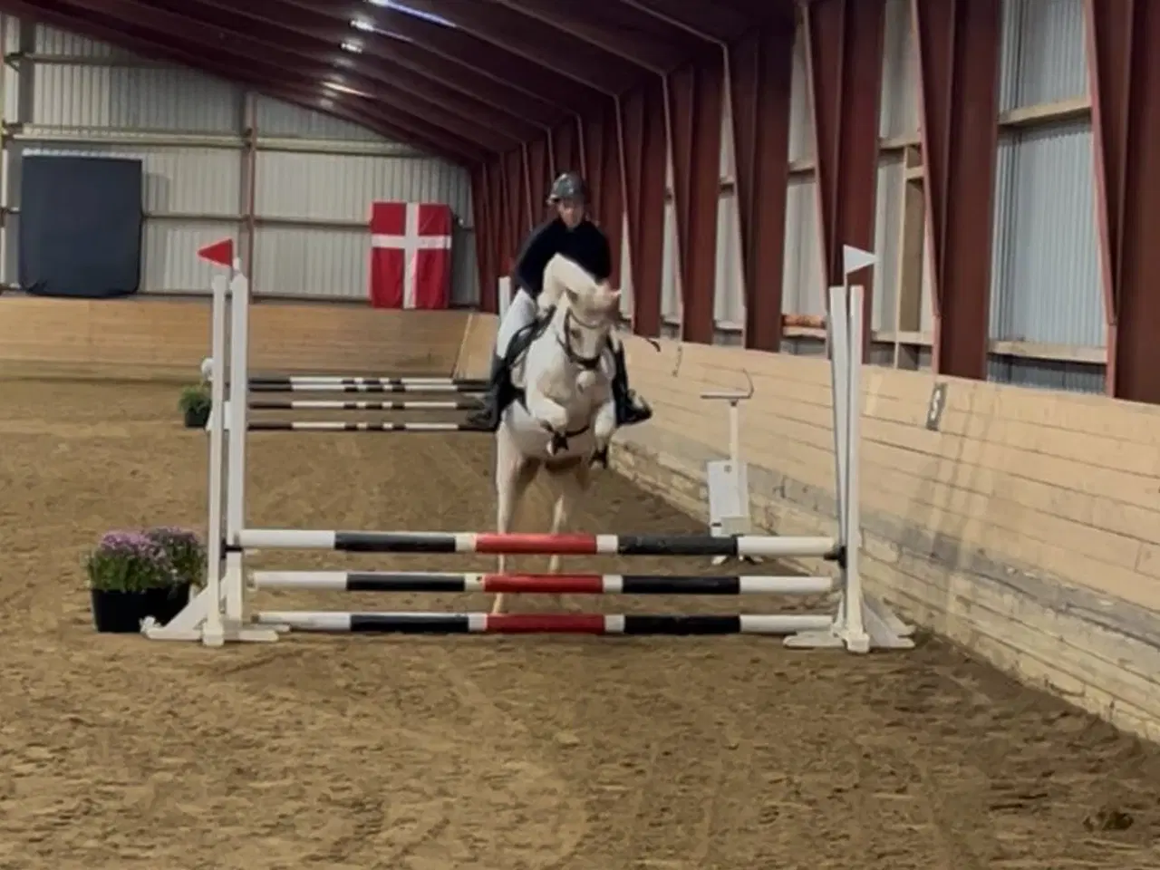 Billede 3 - Super dejlig 2’er