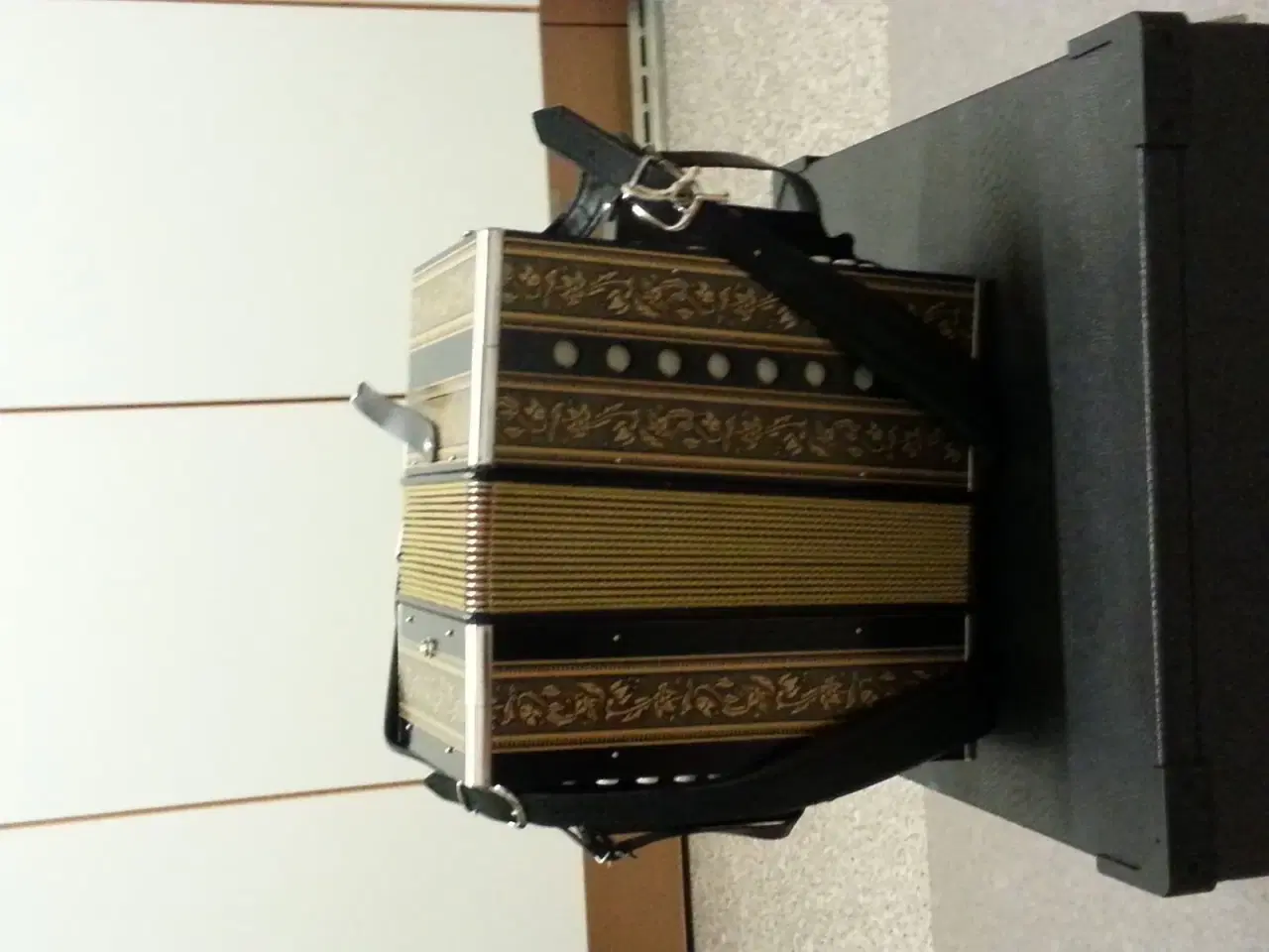 Billede 1 - Steirischer Tanzbär harmonika