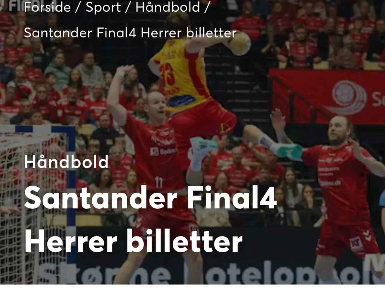 Billede 1 - Santander Final4 Herre håndbold billetter