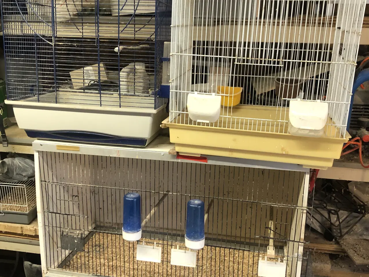 Billede 1 - Billige bure 