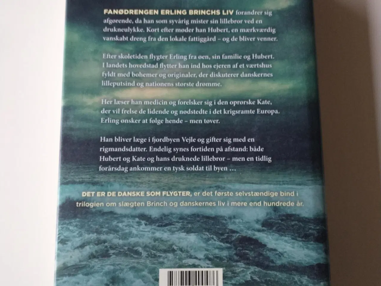 Billede 2 - Det er de danske som flygter. Af L. Ringhof & E. V