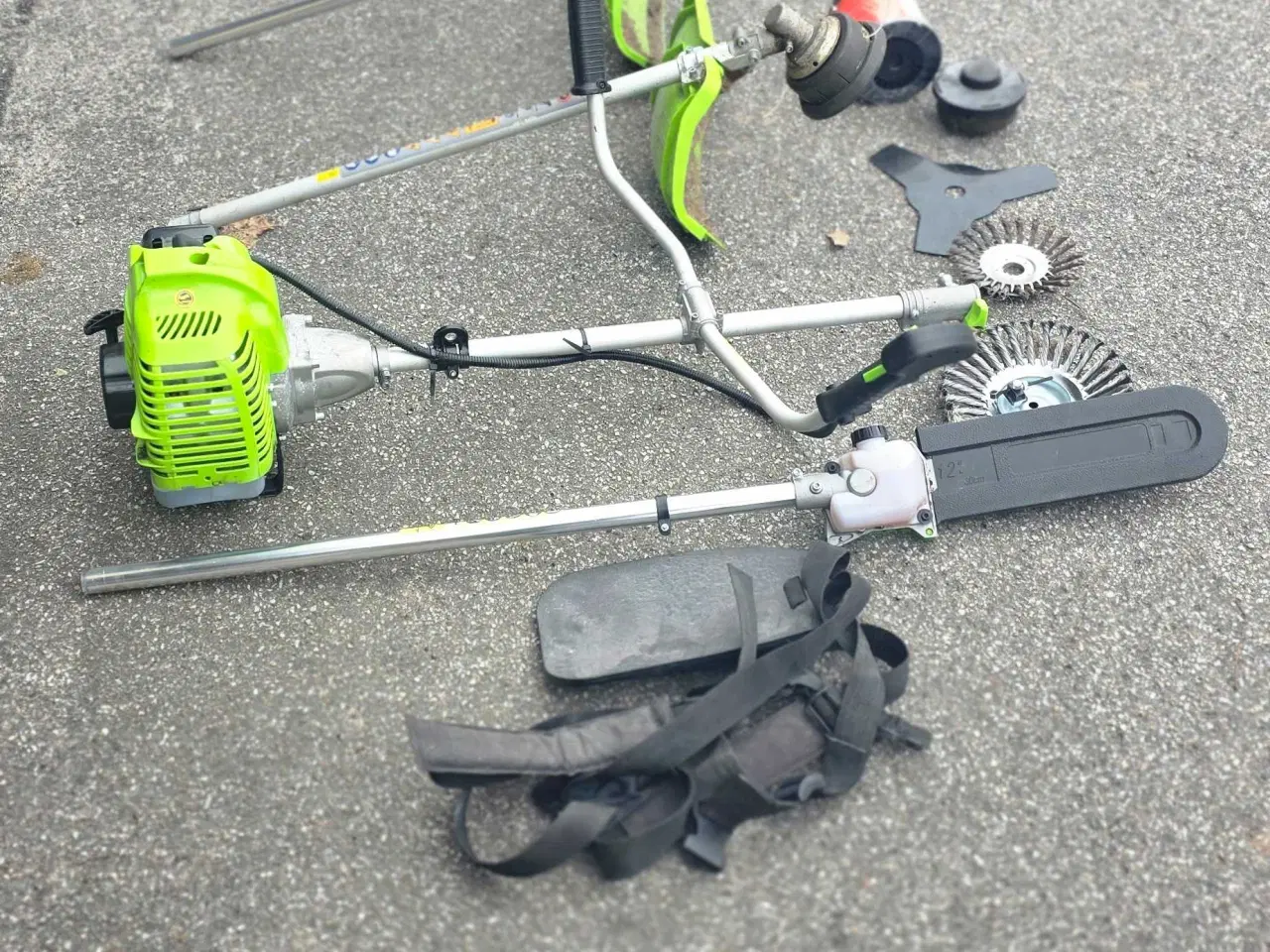 Billede 2 - Buskrydder 