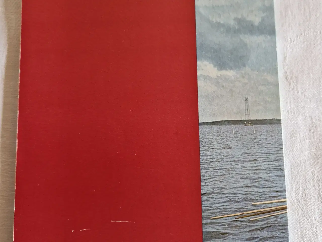 Billede 2 - Ålejern og andre Lystre. Nationalmuseet.