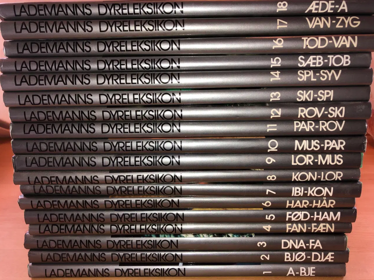 Billede 6 - Dyreleksikon