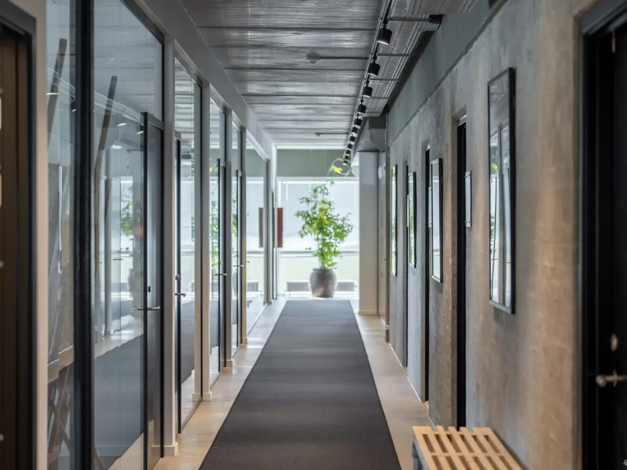 Billede 7 - KLØVERBYENS KONTORFÆLLESSKAB - AMAGER STRAND