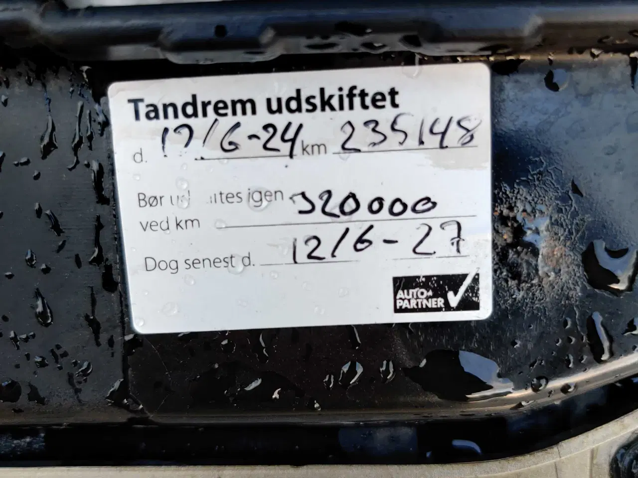 Billede 7 - Nysynet Fiat Panda