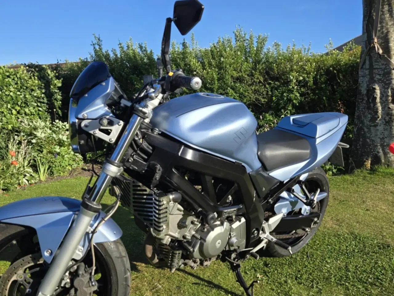 Billede 3 - Suzuki SV650 med ABS årgang 2007
