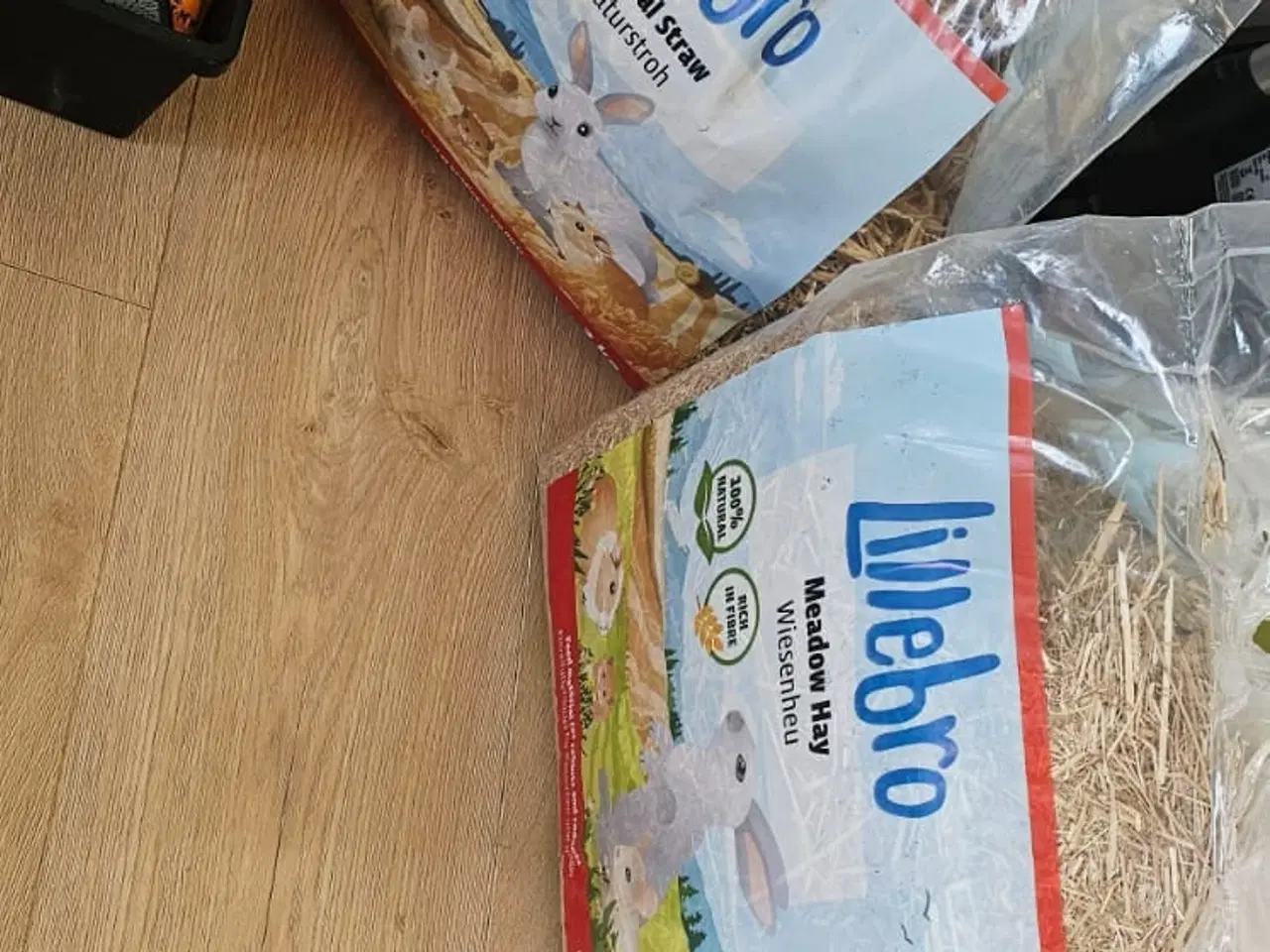 Billede 3 - Marsvine med tilbehører