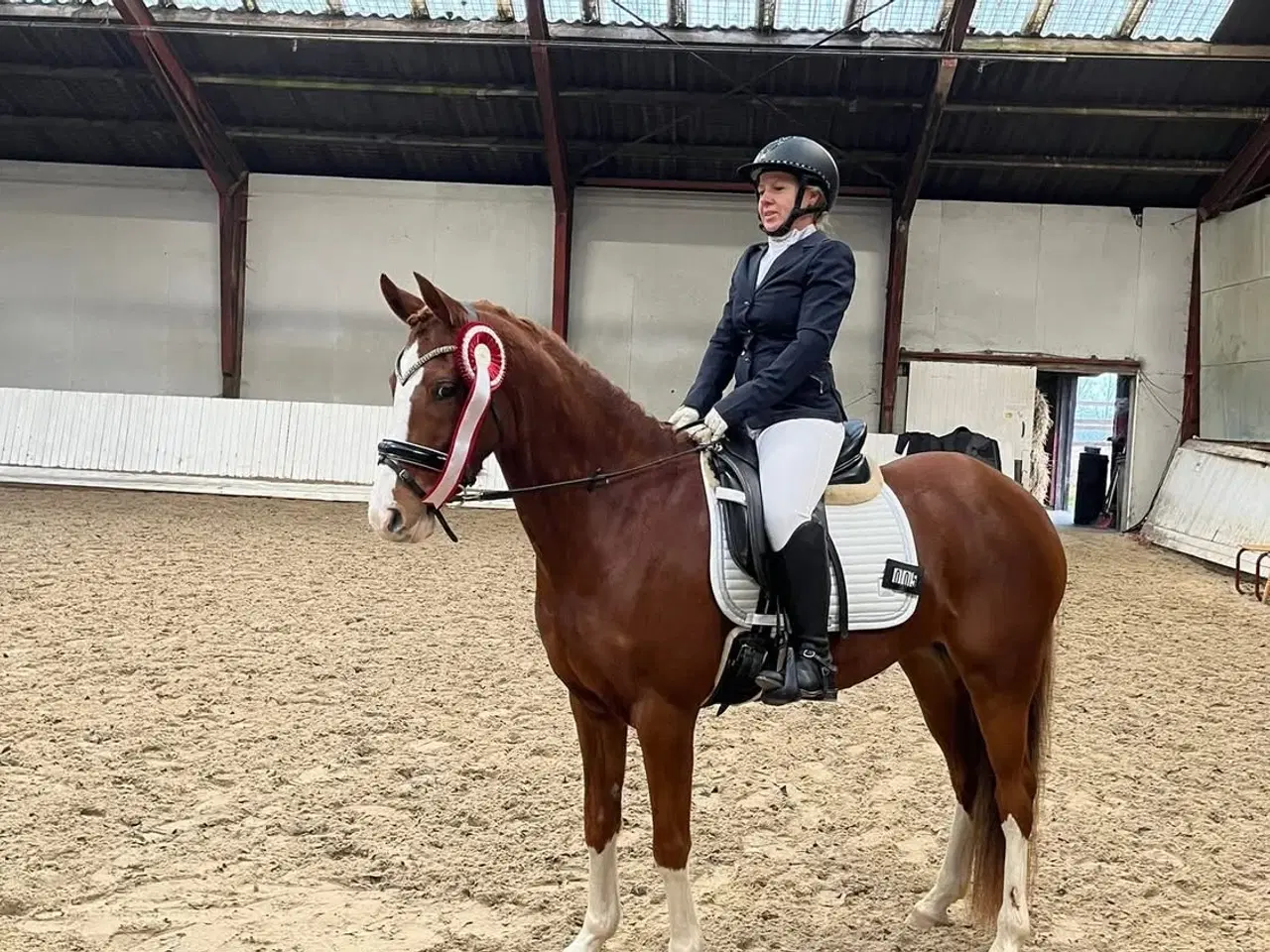 Billede 7 - Pony med Wow effekt