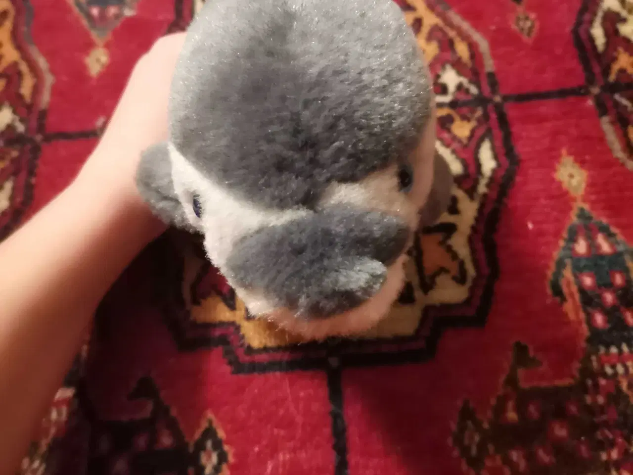 Billede 13 - Josefine sælger ud 10 kr pr stk 🌸