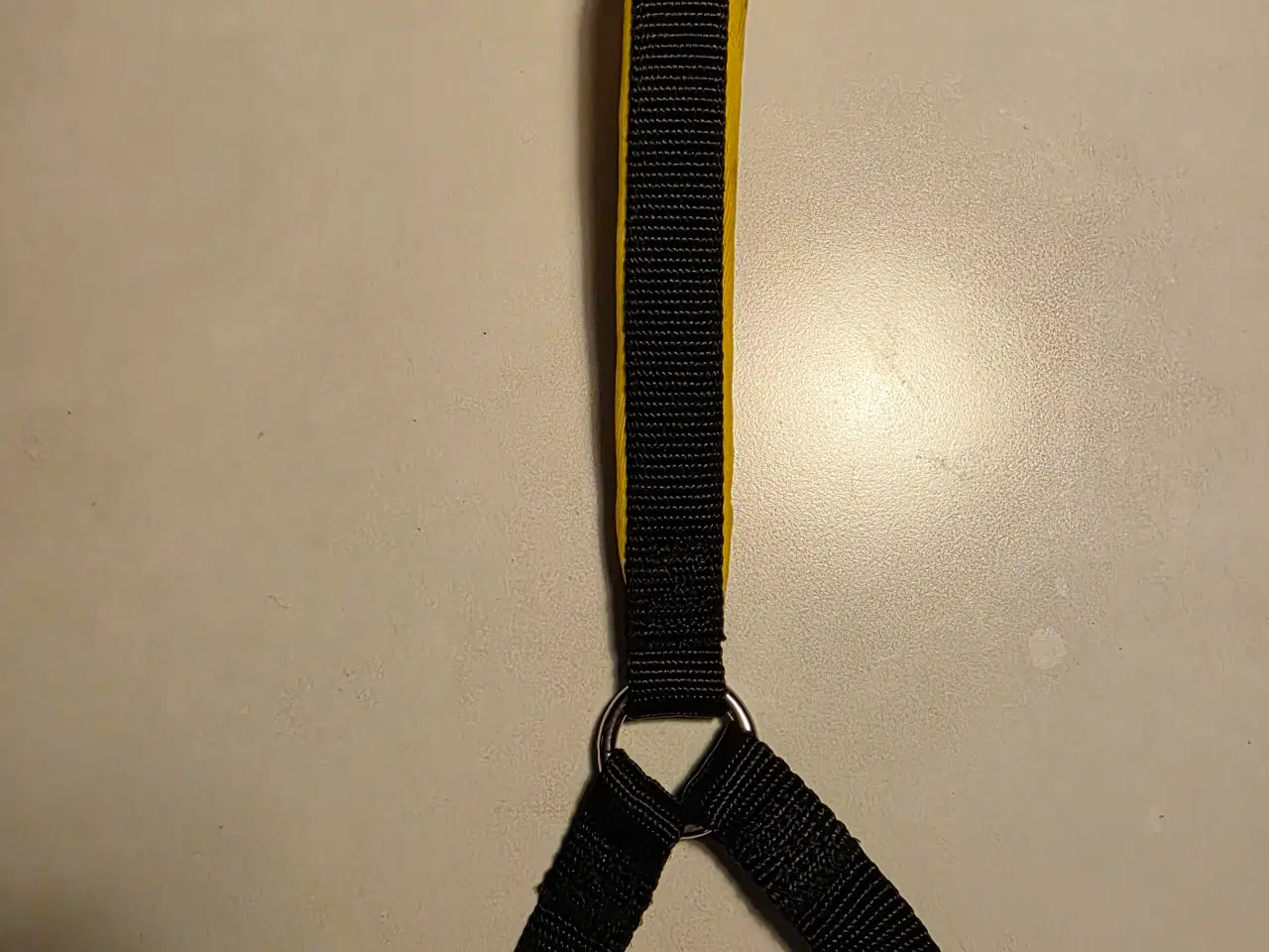 Billede 3 - Hundesnor til 2