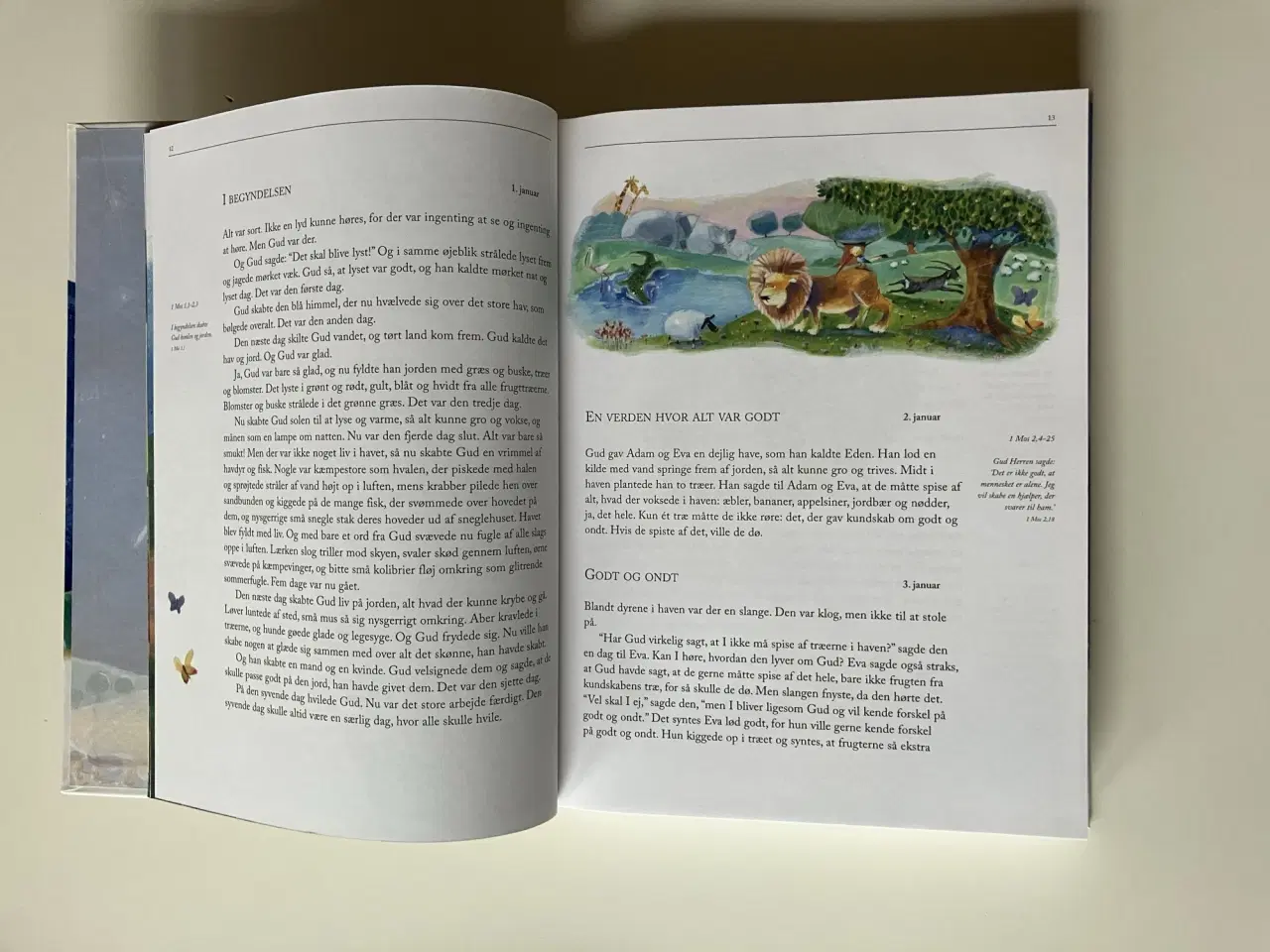 Billede 6 - Bibelen hver dag. Af Beate Højlund