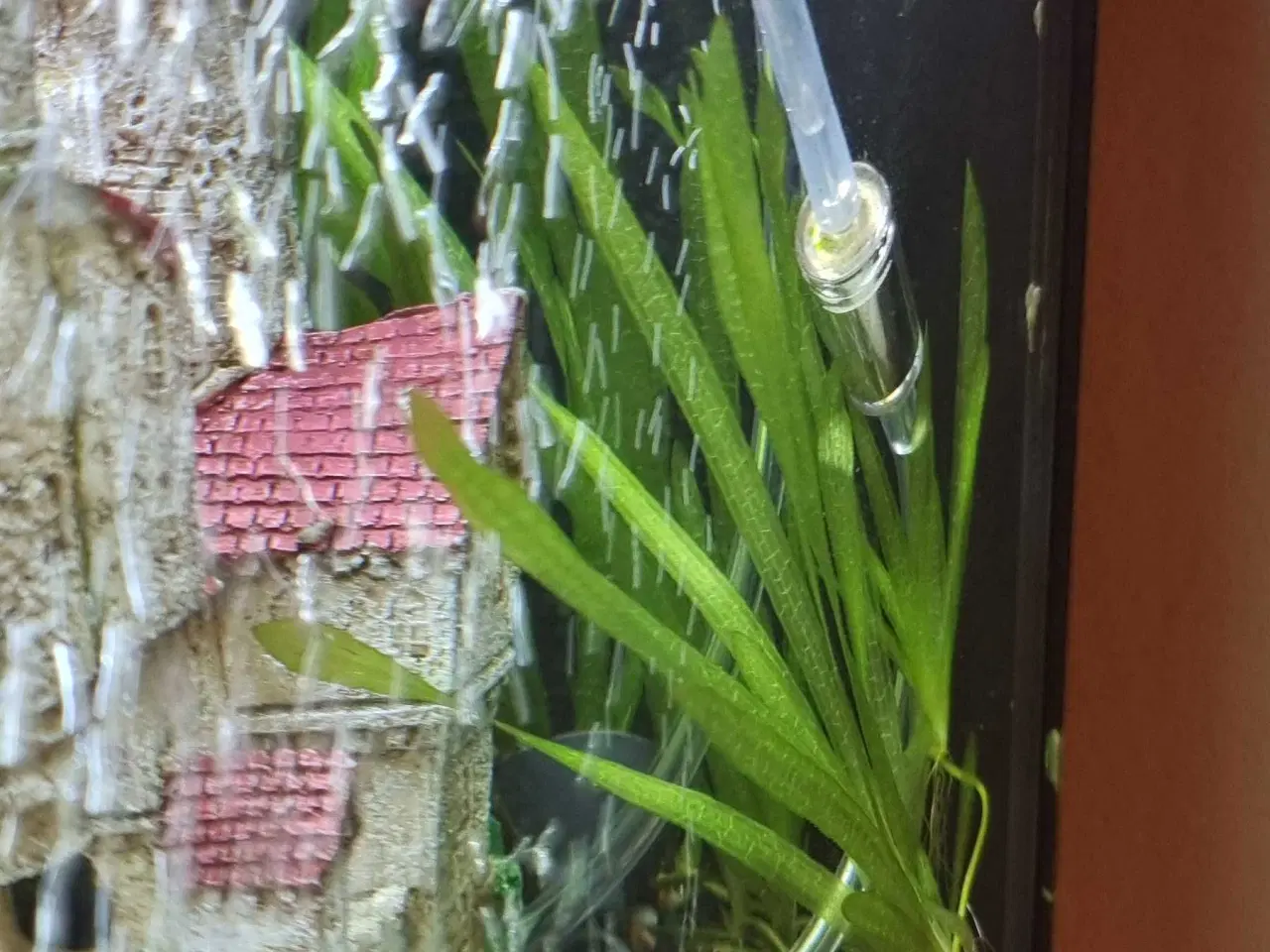 Billede 5 - Juwel 180 liter akvarie med underskab og fuld setu