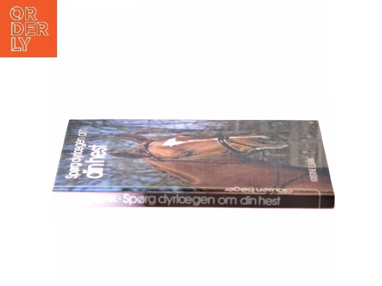 Billede 2 - Spørg dyrlægen om din hest af Kristine Elbæk (Bog)