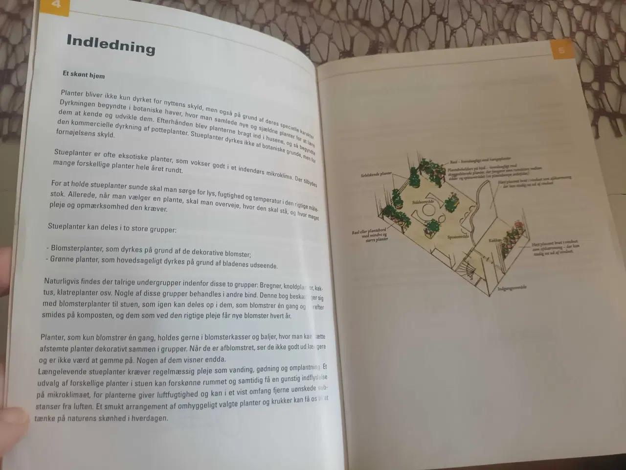 Billede 4 - Haveguiden - Den blomstrende stuehave