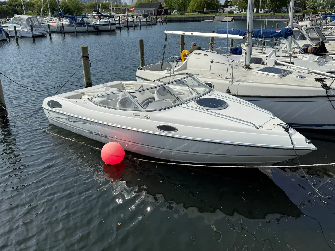 Billede 1 - Stingray 195CS speedbåd 