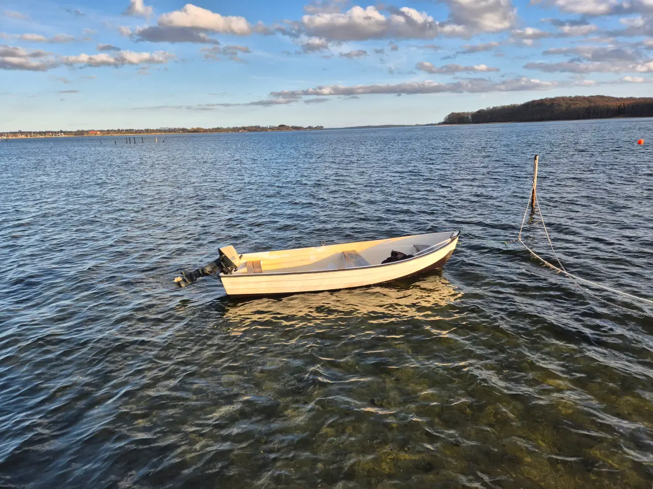 Billede 1 - Ryds 420 med nyserviceret motor