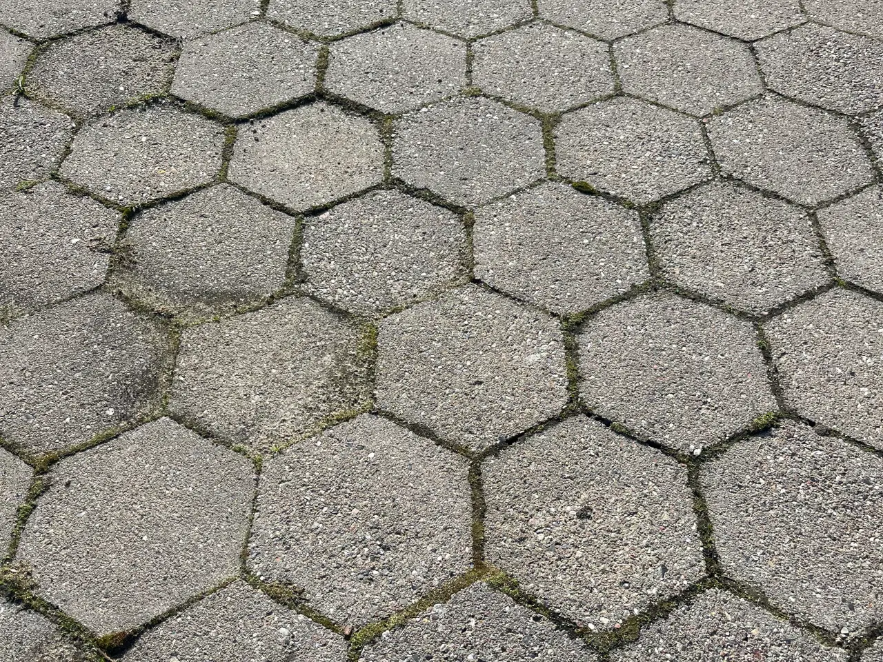 Billede 3 - Fliserbelægning til indkørsel og have