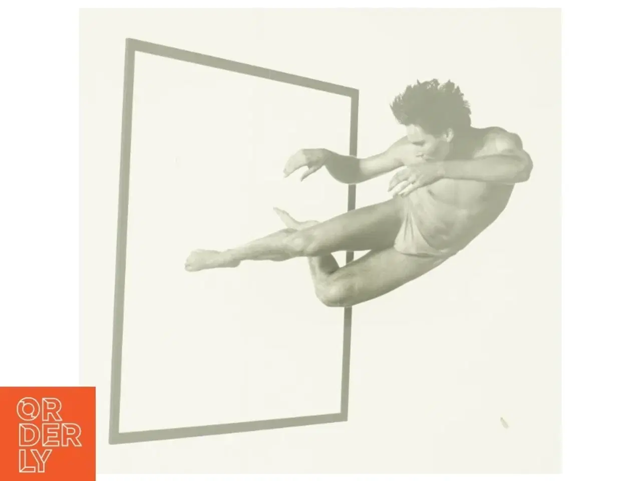 Billede 2 - Breaking Bounds: the Dance Photography of Lois Greenfield af Ewing, William a. (Bog)