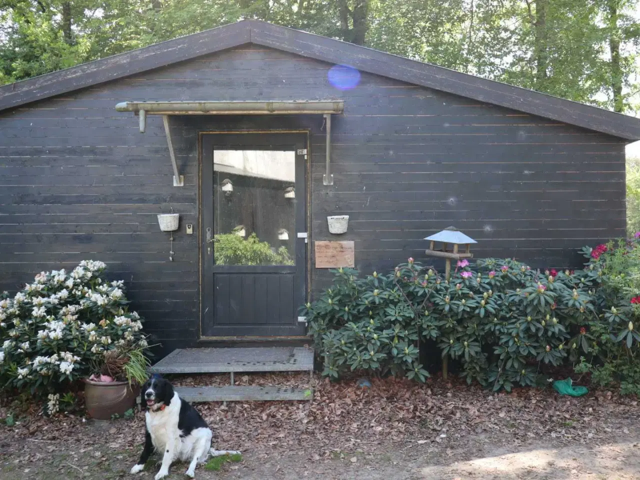 Billede 1 - Annex / sommerhus 