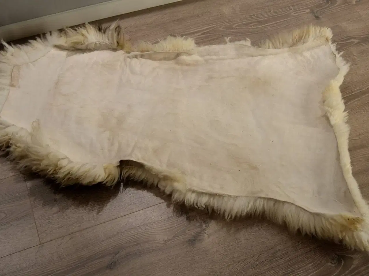 Billede 4 - Færøsk fåreskind