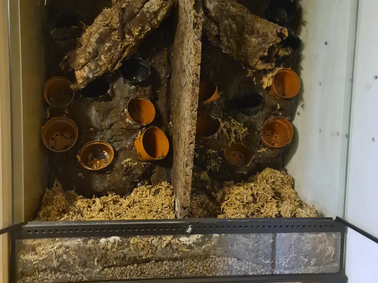 Billede 2 - Terrarium 90x45x90