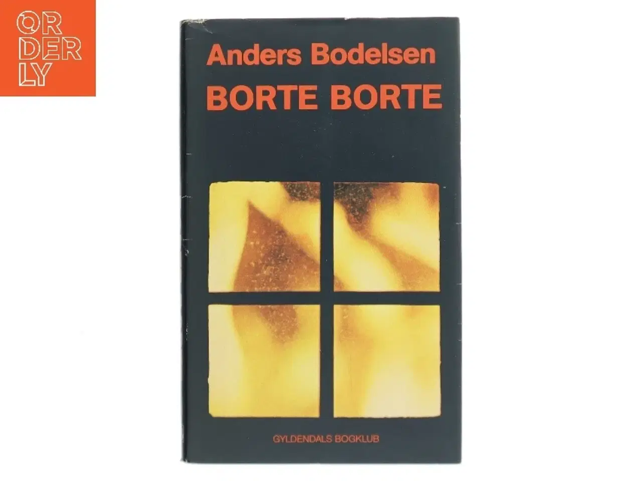 Billede 1 - Borte Borte af Anders Bodelsen (Bog)