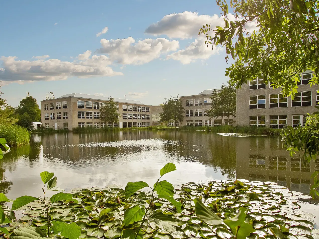 Billede 1 - Kontor i naturskønt område
