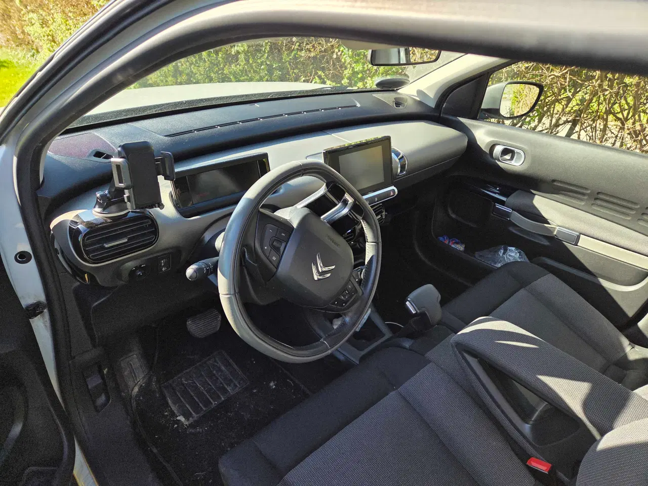 Billede 2 - Cactus billig