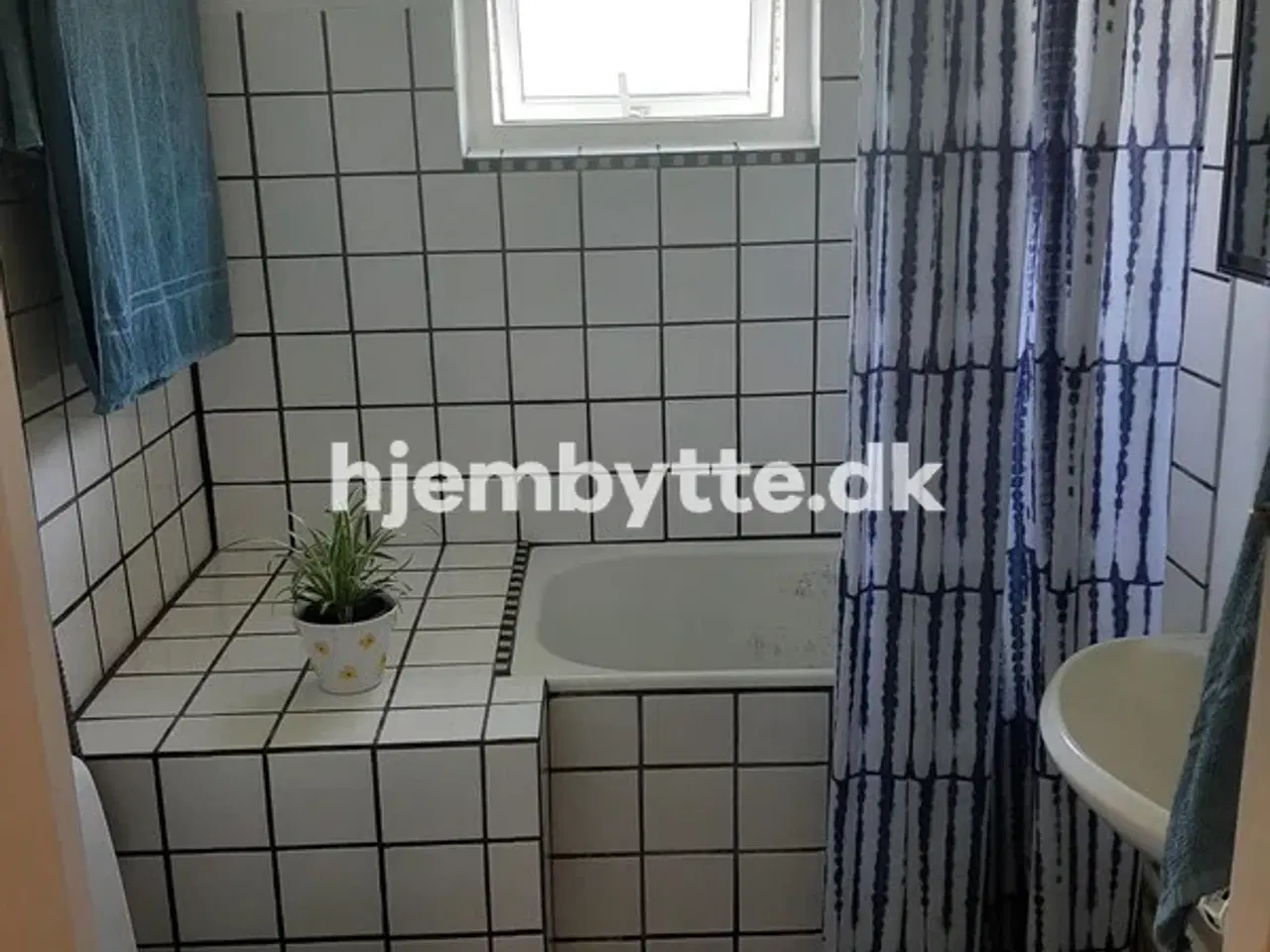 Billede 6 - Hjembytte - Mosevangen