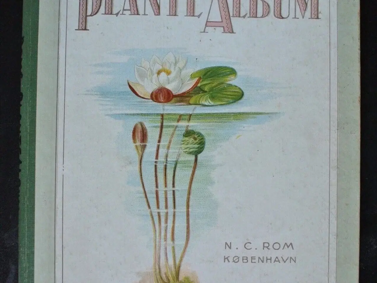 Billede 1 - roms plante-album, emne: biologi og botanik