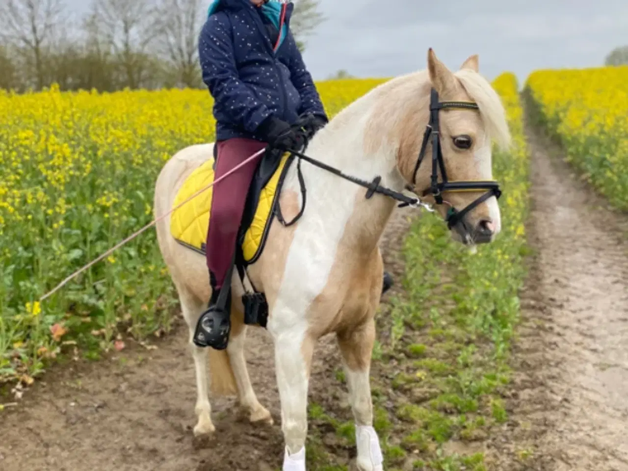 Billede 5 - Smukke Sigga