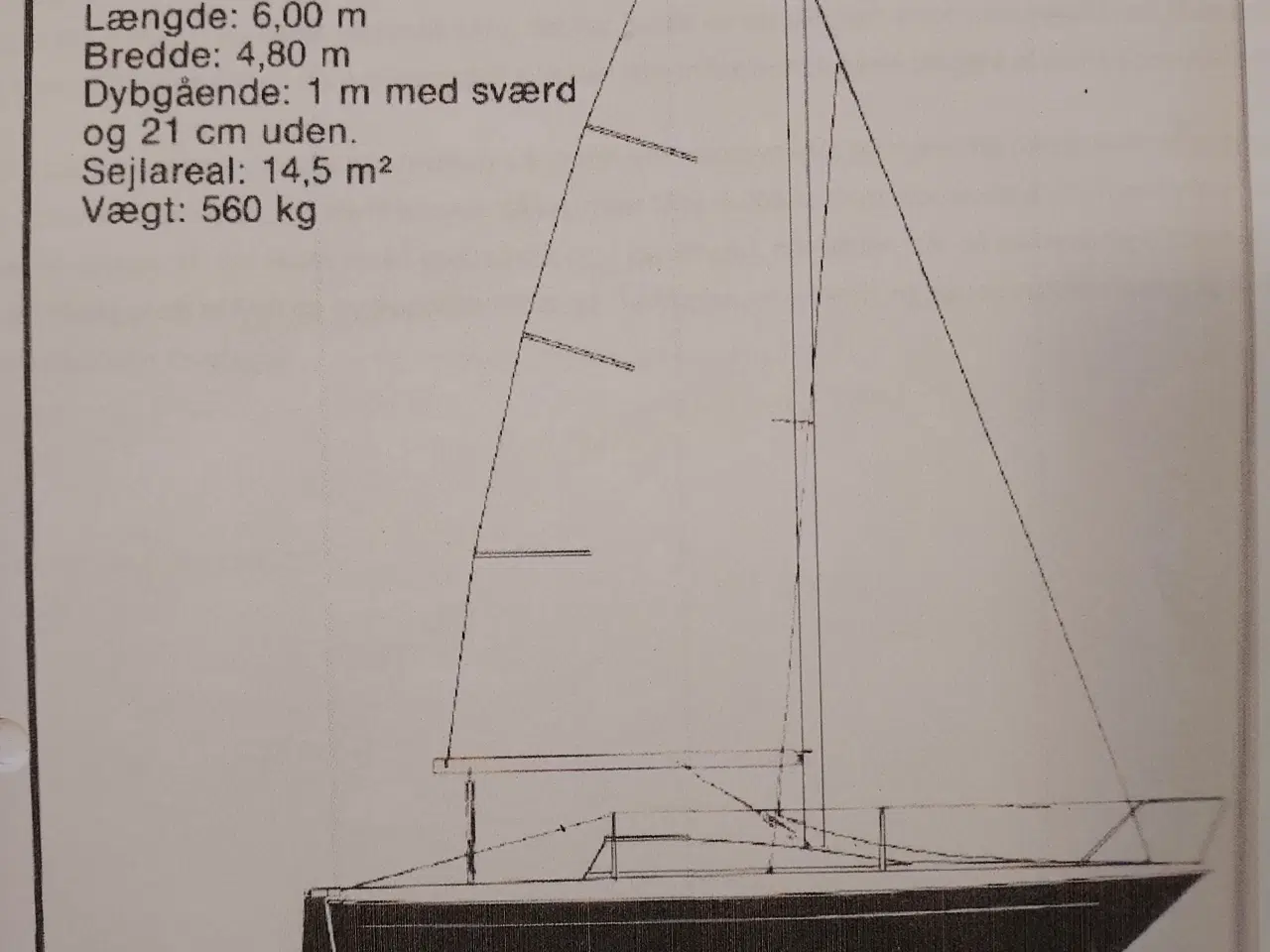 Billede 4 - Sterna 20 fod