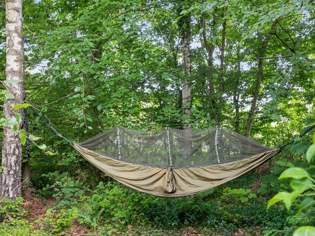 Billede 5 - Spændende hus i Vesterlund ved Give