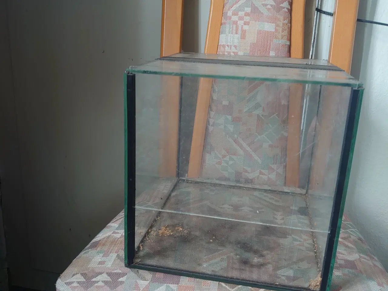 Billede 2 - Små Terrarium 