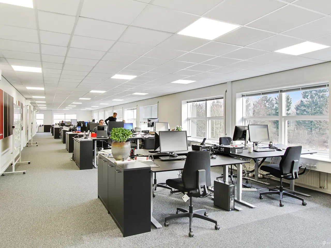 Billede 5 - Kontor i naturskønt område