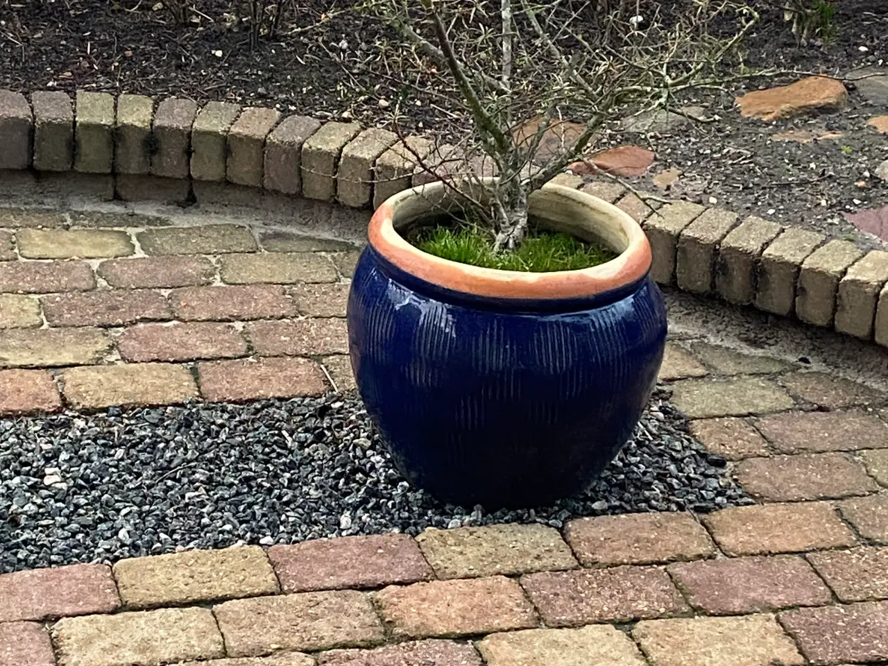 Billede 1 - GRATIS - krukker kan afhentes