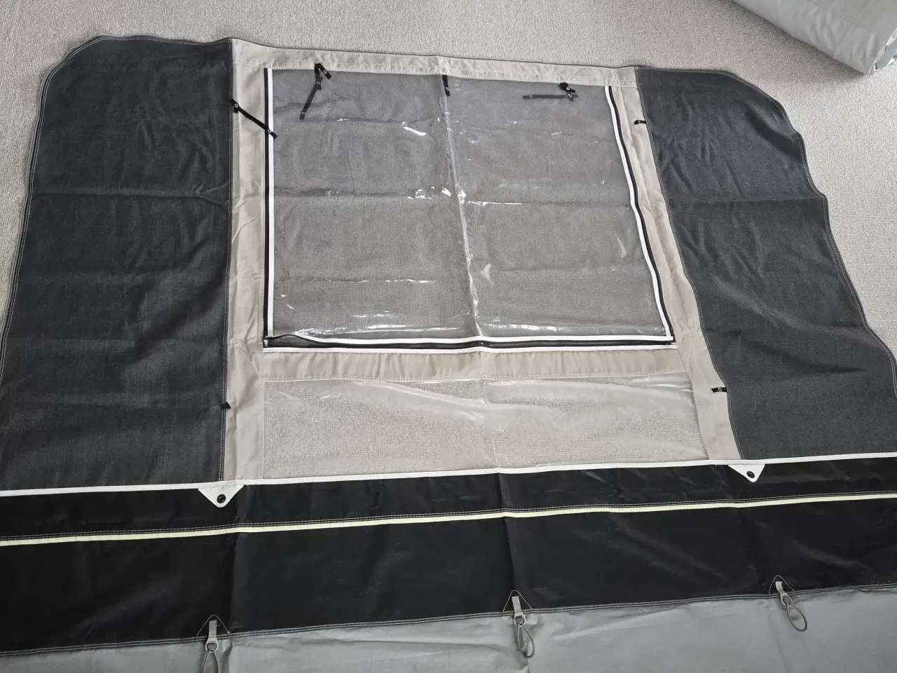 Billede 3 - Isabella commondore seed A925 G16