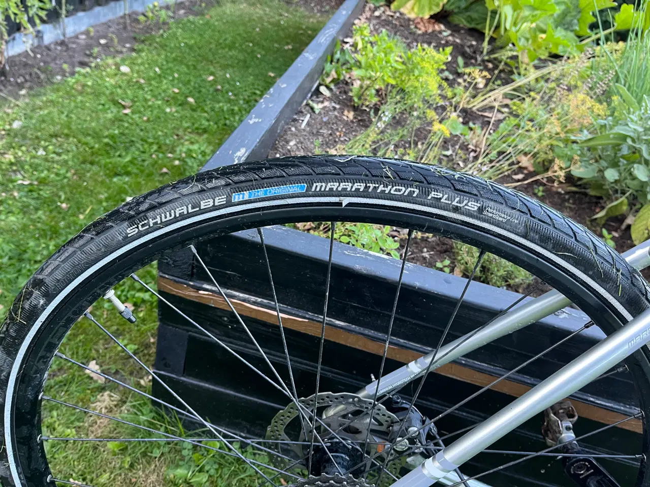 Billede 8 - Focus Mares graver/cykelcross