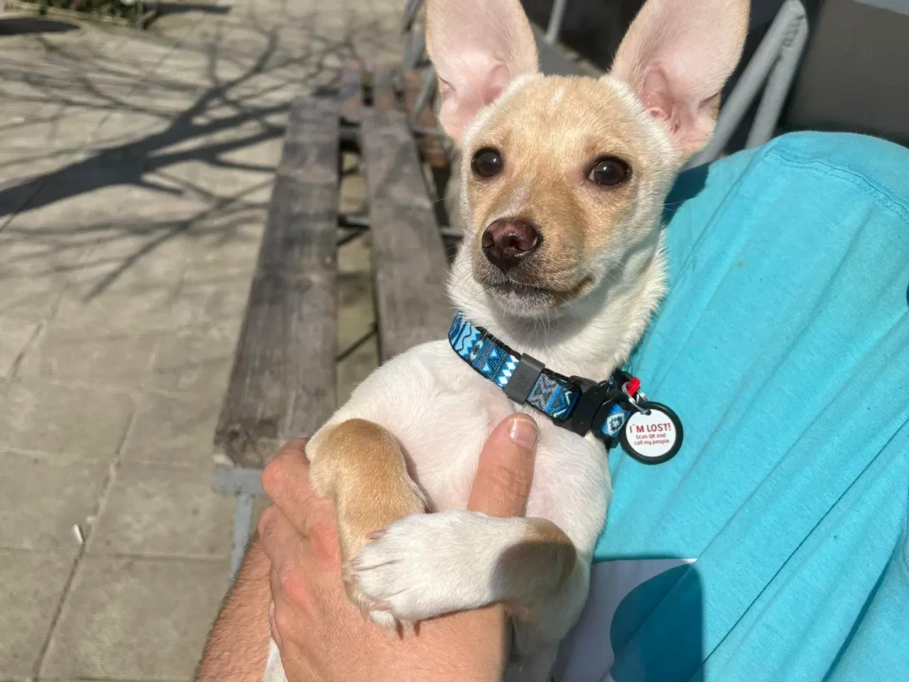 Billede 7 - Lille Mille 🩷