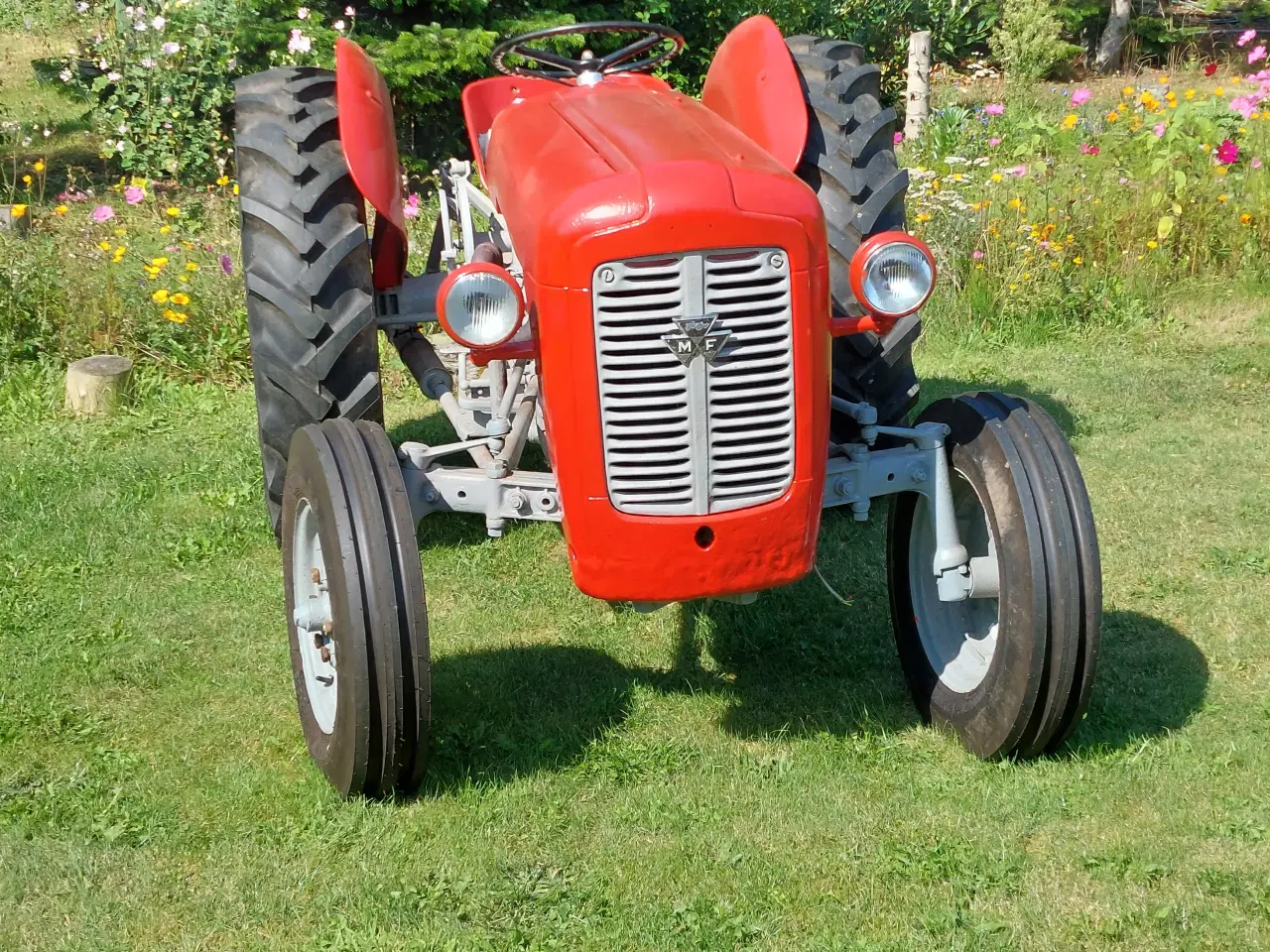 Billede 4 - Massey Ferguson 35  (benzin)