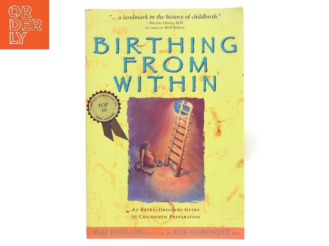 Billede 1 - Birthing from within : an extra-ordinary guide to childbirth preparation (Bog)